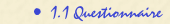 1.1 Questionnaire